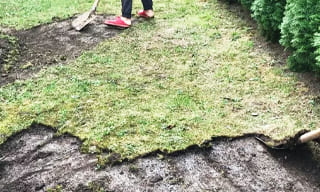 Снятие дерна старого газона в Елизово – от 516 руб. | 2Землекопа-Лзв